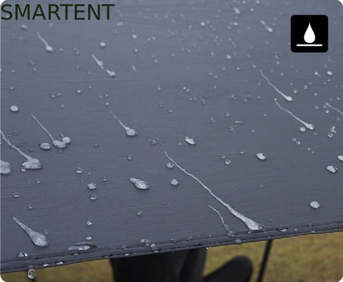 530*390CM Nero 420D Ripstop Poliester Tesla Camping Tent Canopy auto leggera Canopy Rainfly Side Awing per il modello Y&amp;3 fornitore