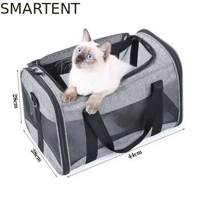 Grandi Forniture per Animali Domestici Carini Unisex per Interni ed Esterni per Animali Attivi con Collari, Guinzagli e Trasportini Confortevoli fornitore