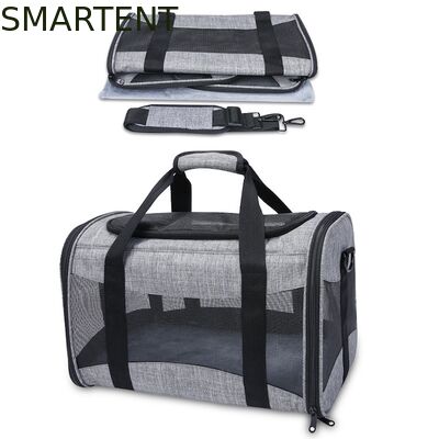 Grandi Forniture per Animali Domestici Carini Unisex per Interni ed Esterni per Animali Attivi con Collari, Guinzagli e Trasportini Confortevoli fornitore