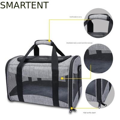 Grandi Forniture per Animali Domestici Carini Unisex per Interni ed Esterni per Animali Attivi con Collari, Guinzagli e Trasportini Confortevoli fornitore