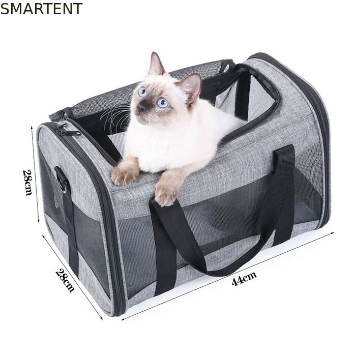 Grandi Forniture per Animali Domestici Carini Unisex per Interni ed Esterni per Animali Attivi con Collari, Guinzagli e Trasportini Confortevoli fornitore