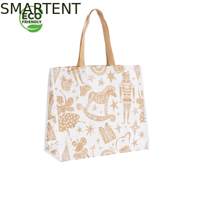 Abitudine amichevole degli accessori di 45 x di 40 X di 15CM Eco che stampa cliente tessuto 100% RPET